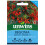 Unwins Begonia Groovy Orange F1 1