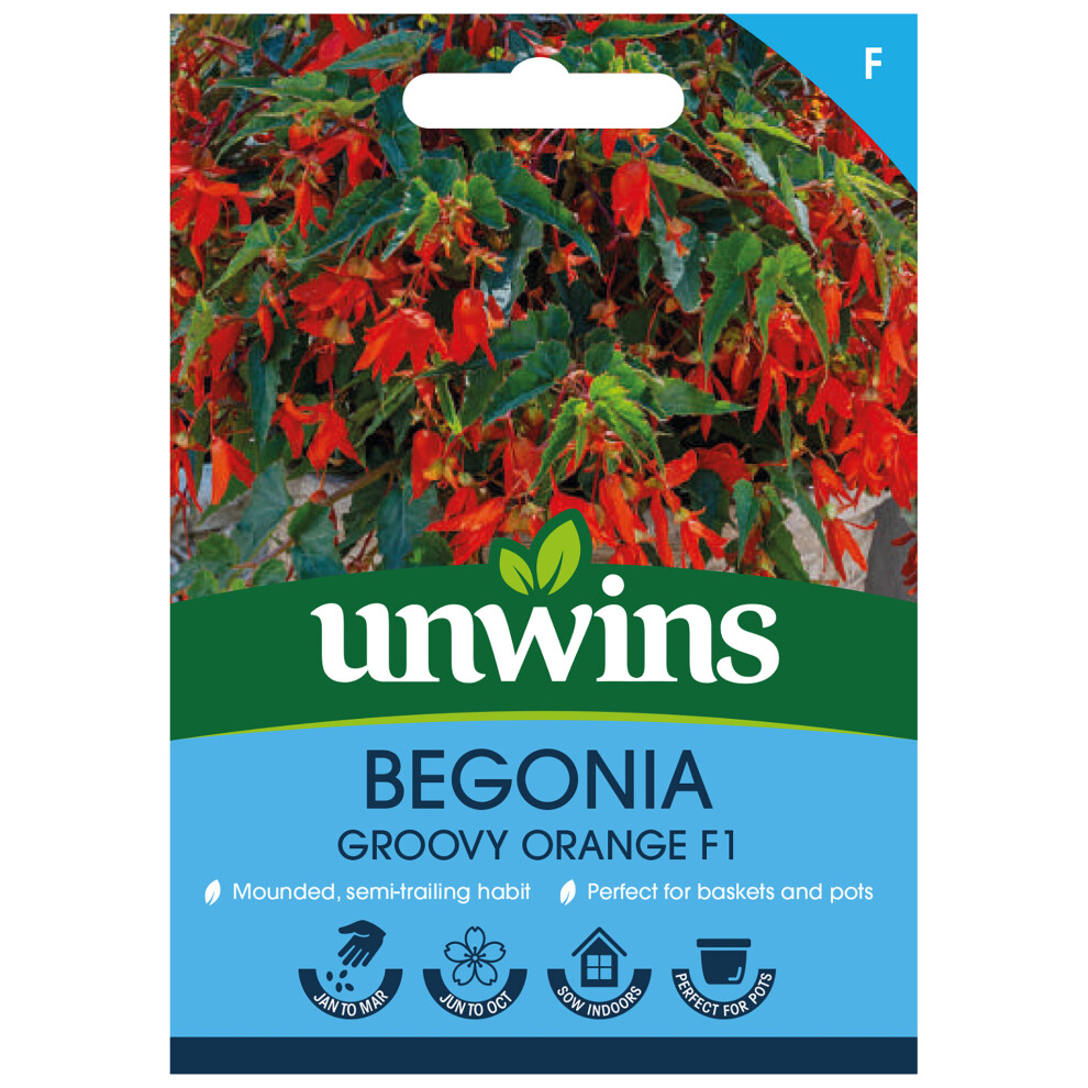 Unwins Begonia Groovy F1 Orange