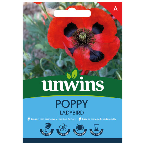 Unwins Poppy Ladybird