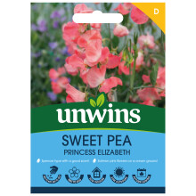 Sweet Pea Princess Elizabeth