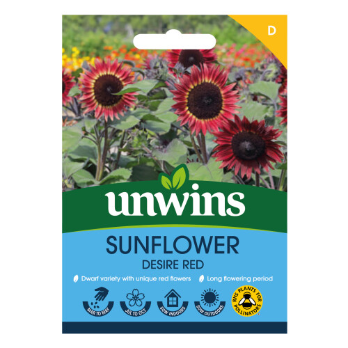 Unwins Sunflower Desire Red