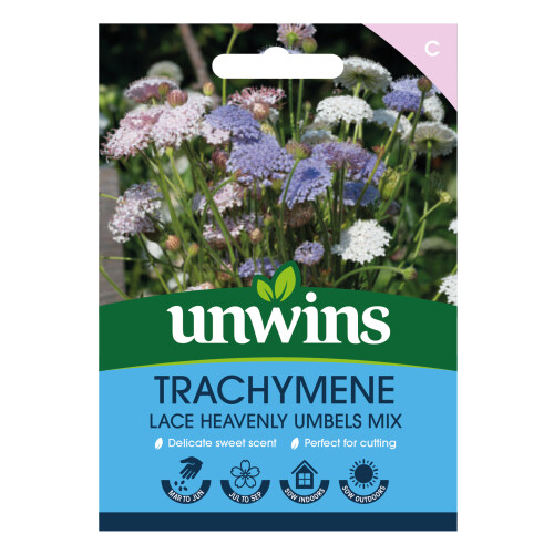Unwins Trachymene Lace Heavenly Umbels Mix