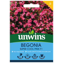 Begonia Super Cool Pink F1