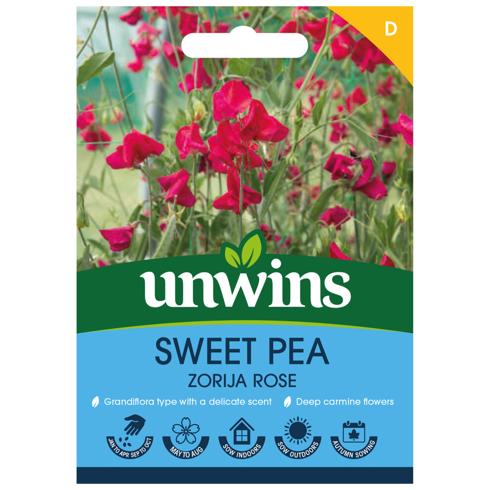 Unwins Sweet Pea Zorija Rose