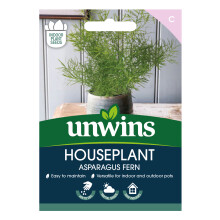 Houseplant Asparagus Fern