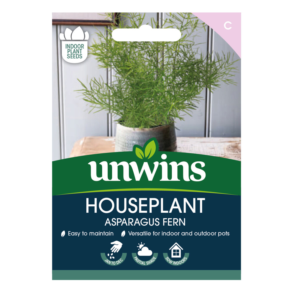 Unwins Houseplant Asparagus Fern