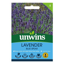 Lavender Blue Spear