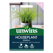 Houseplant Zumula