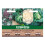 Unwins Brassica Collection Pack 1
