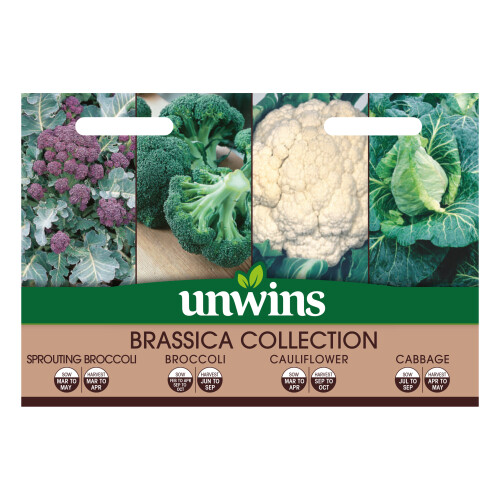Unwins Brassica Collection Pack