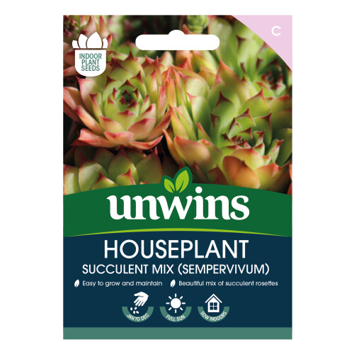 Unwins Houseplant Succulent Mix (Sempervivum)