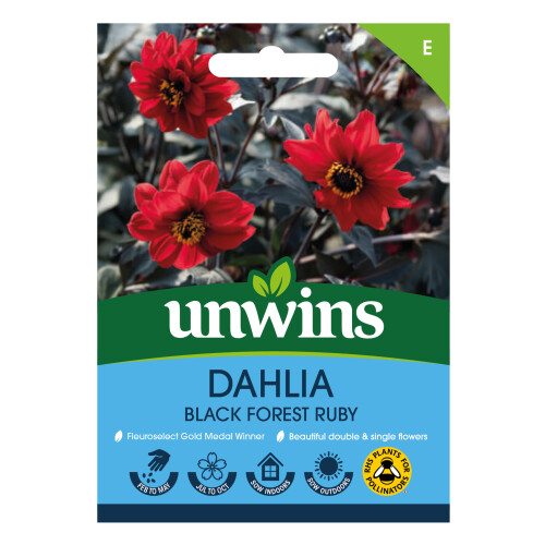 Unwins Dahlia Pinnata Black Forest Ruby