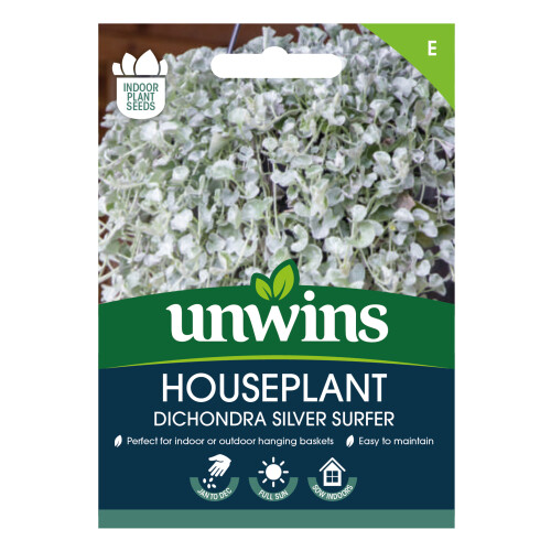 Unwins Houseplant Dichondra Silver Surfer