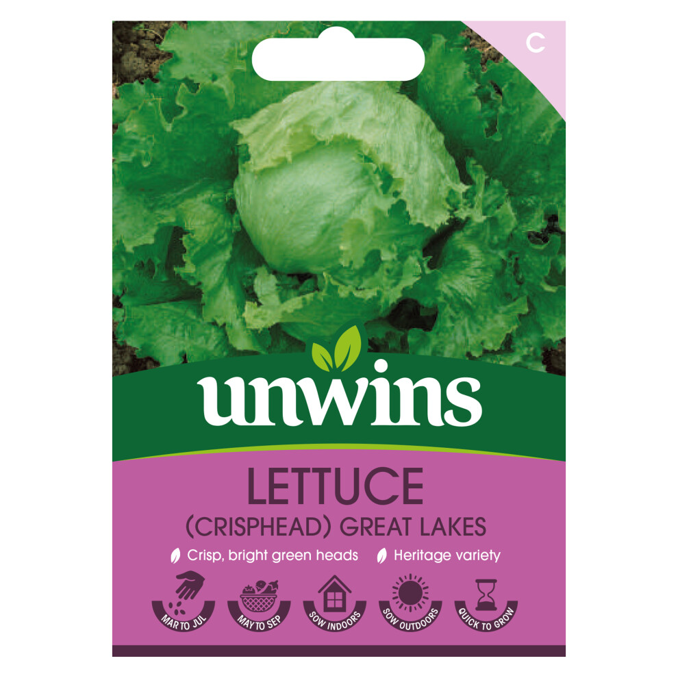 Unwins Lettuce (Iceberg) Great Lakes Green