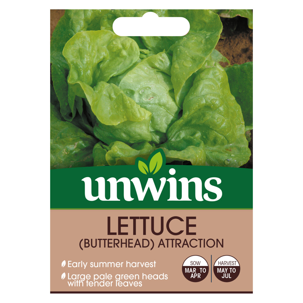 Unwins Lettuce (Butterhead) Attraction Green