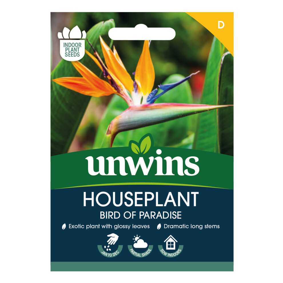 Unwins Houseplant Bird Of Paradise (Strelitzia Reginae)