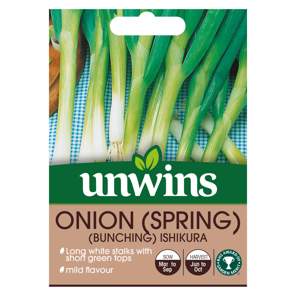 Unwins Onion (Spring) Bunching Ishikura White/Green