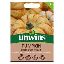 Pumpkin Sweet Lightning F1