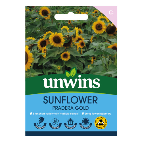 Unwins Sunflower Pradera Gold