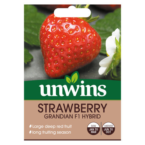 Unwins Strawberry Grandian F1