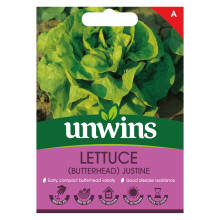 Lettuce (Butterhead) Justine