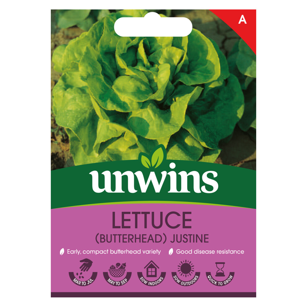 Unwins Lettuce (Butterhead) Justine