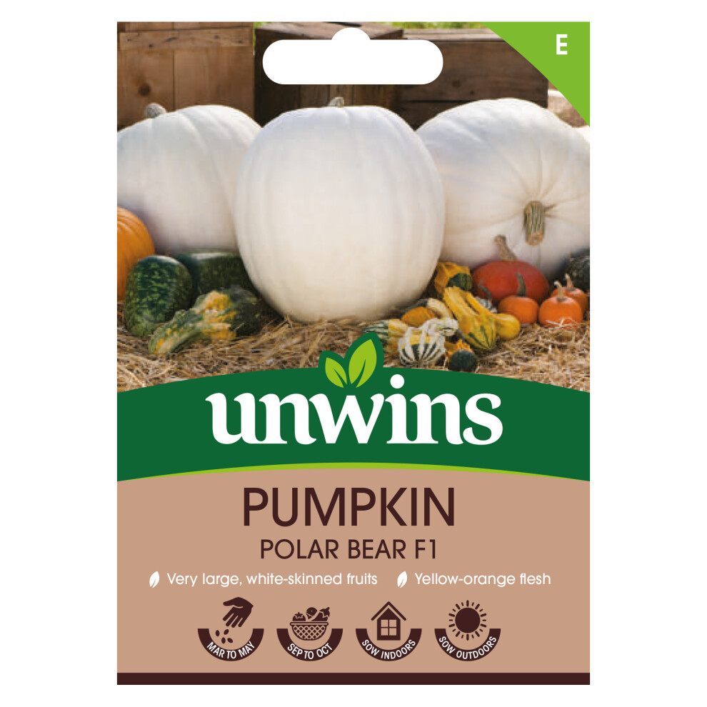 Unwins Pumpkin Polar Bear F1 White/Yellow/Orange