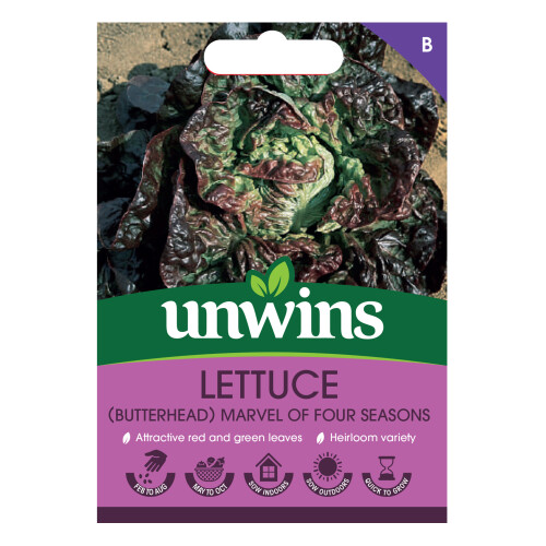 Unwins Lettuce (Butterhead) Marvel Of Four Seasons