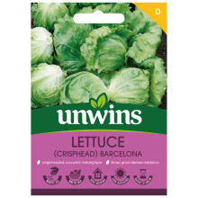 Lettuce (Iceberg) Barcelona