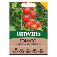Tomato (Salad) Maisey F1