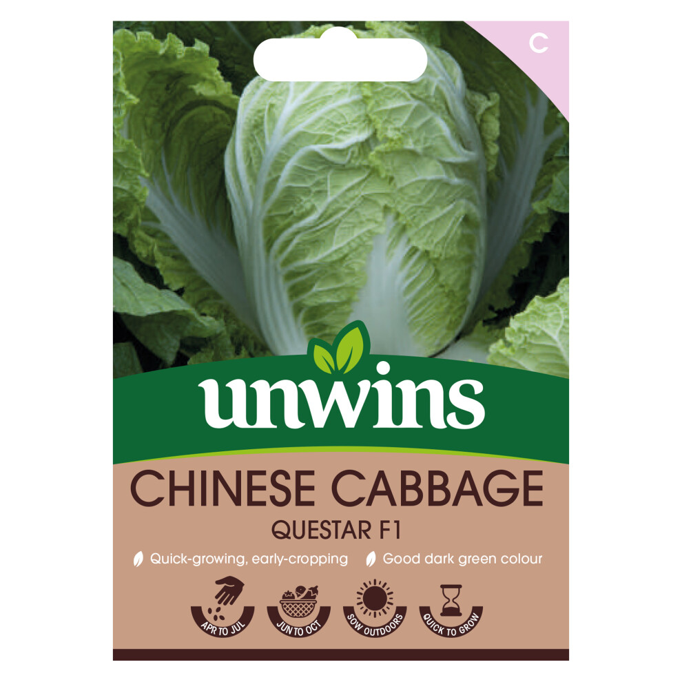 Unwins Cabbage (Chinese) Questar F1 Dark/Green