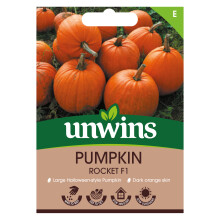 Pumpkin Rocket F1