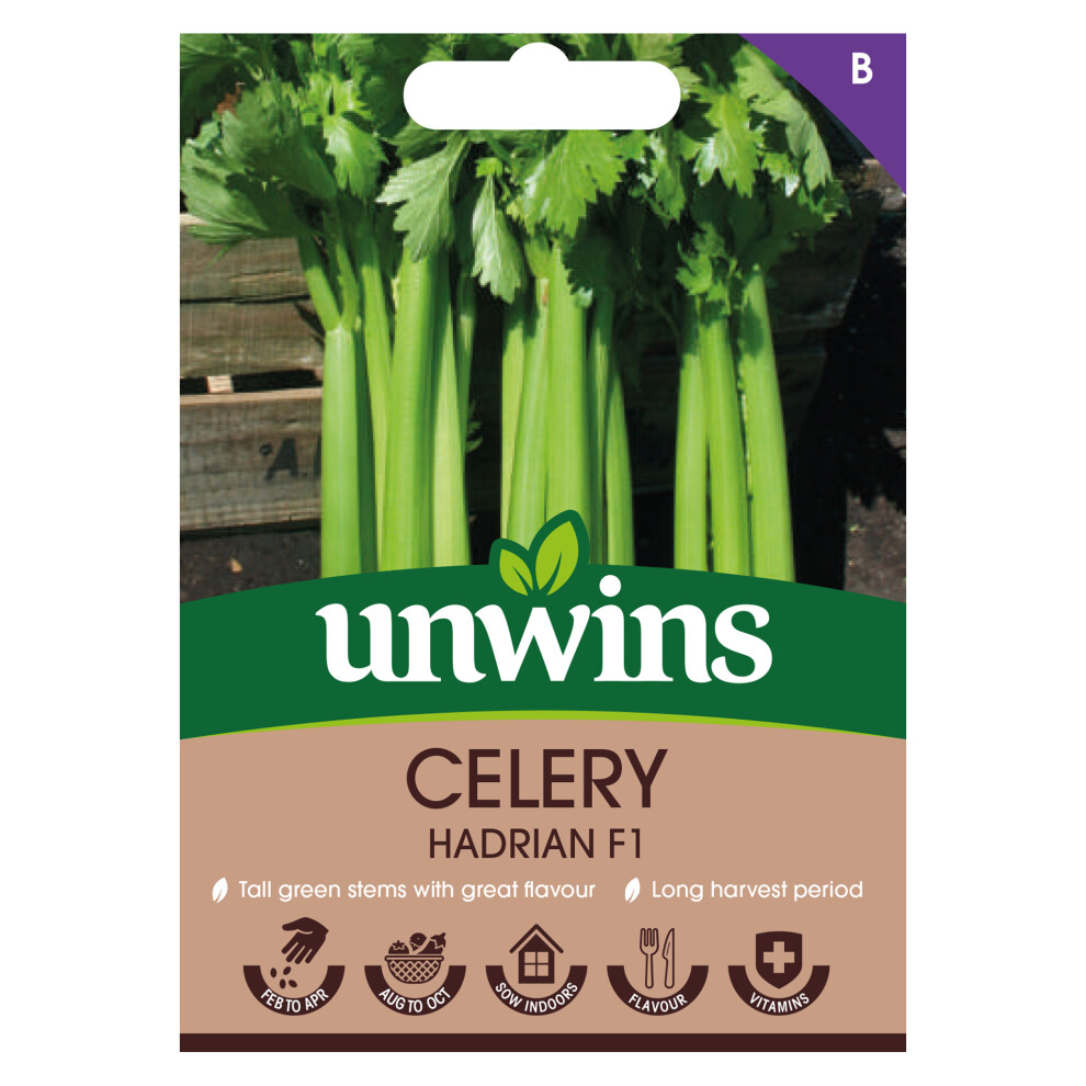 Unwins Celery Hadrian F1 Green