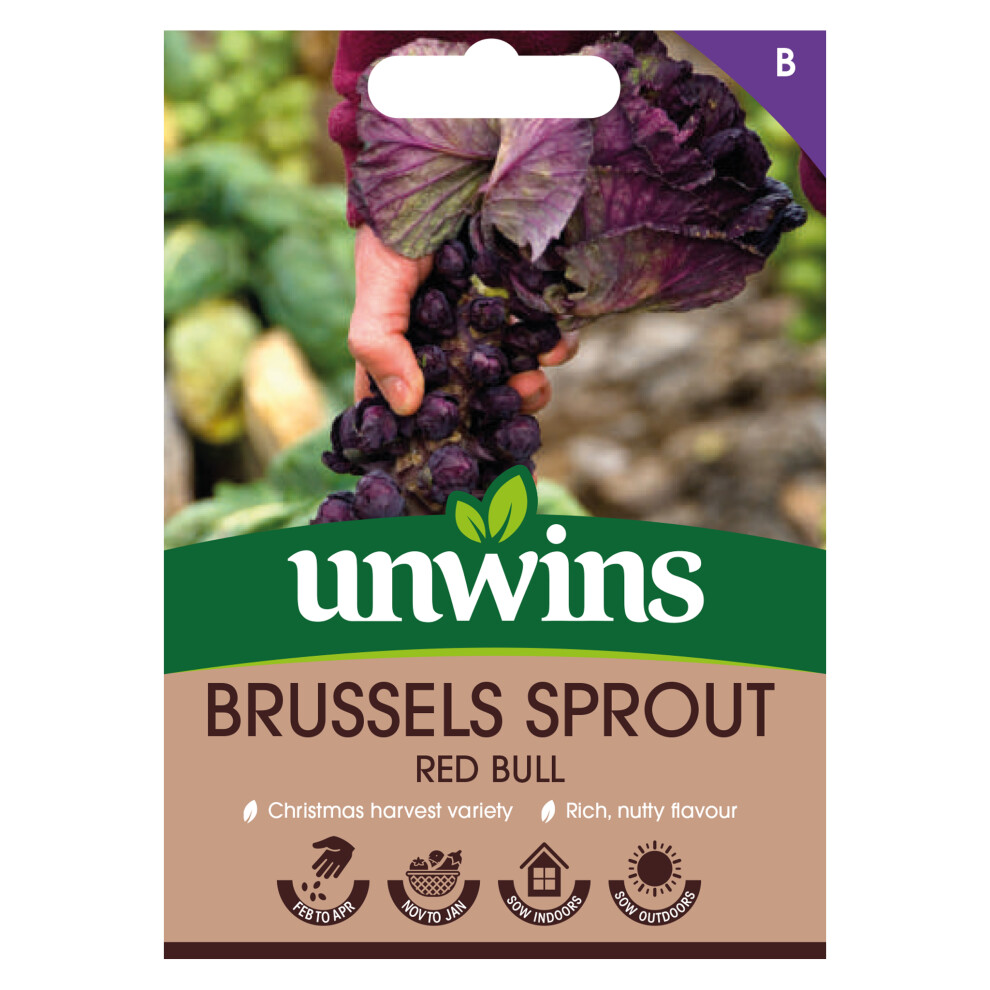 Unwins Brussels Sprout Bull Red