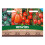 Unwins Tomato Modern Classic Collection Pack 1