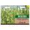 Unwins Green Manure Autumn & Winter Mix 1