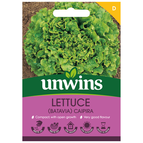 Unwins Lettuce (Batavia) Caipira