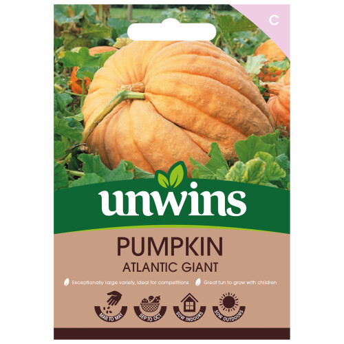 Unwins Pumpkin Atlantic Giant