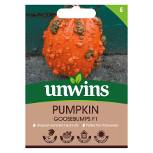 Pumpkin Goosebumps F1