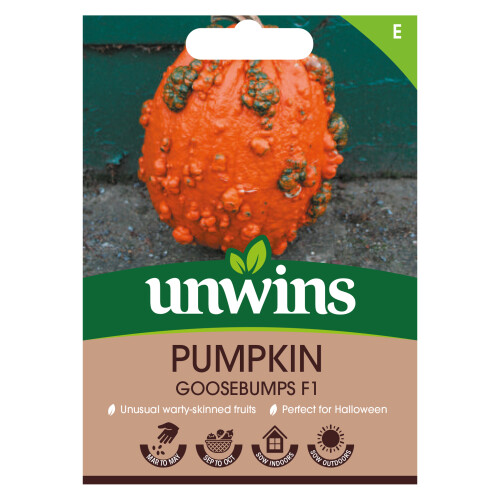 Unwins Pumpkin Goosebumps F1