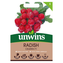 Radish Celesta F1 AGM