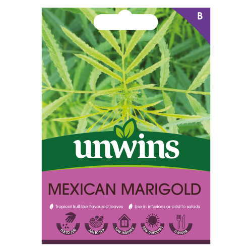 Unwins Herb Mexican Marigold