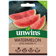 Watermelon Little Darling F1