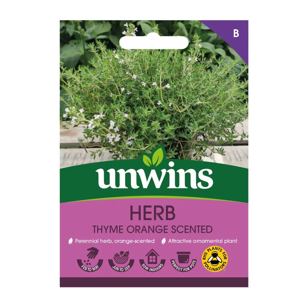 Unwins Herb Thyme Scented Orange