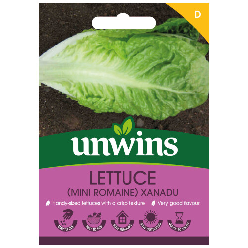 Unwins Lettuce (Mini Romaine) Xanadu