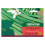 Unwins Runner Bean White Lady 1
