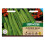 Unwins Runner Bean Lady Di (Organic) 1