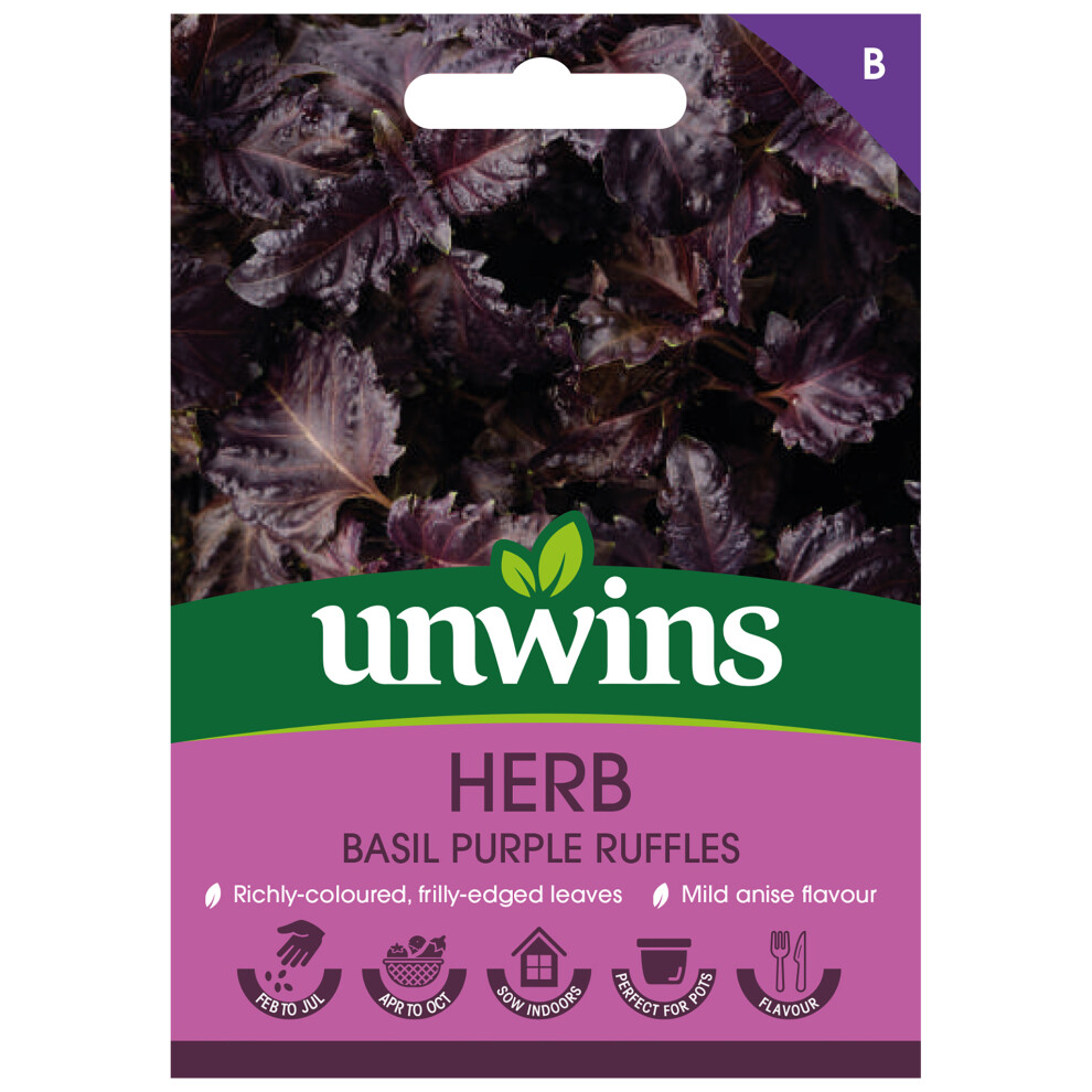 Unwins Herb Basil Ruffles Purple