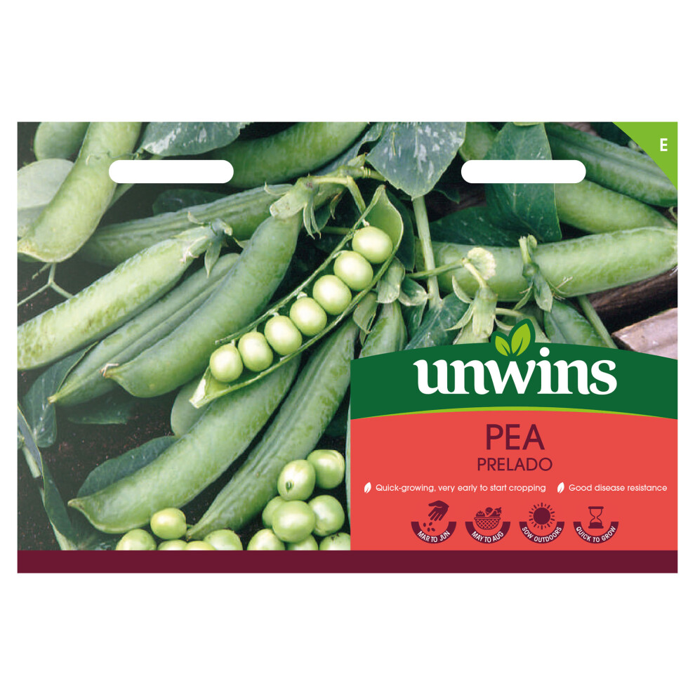 Unwins Pea Prelado