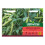 Unwins Broad Bean Luz de Otono 1